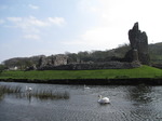 SX05343 Three swans by Ogmore Castle.jpg